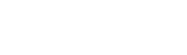 ahdis ag