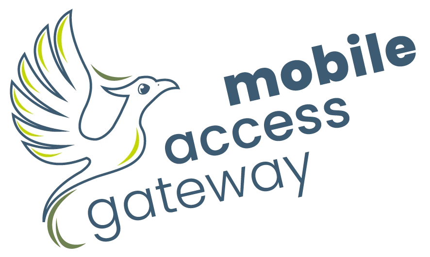 Mobile Access Gateway